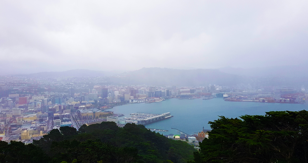 Photographie : L3tty - Wellington par un temps de chiotte