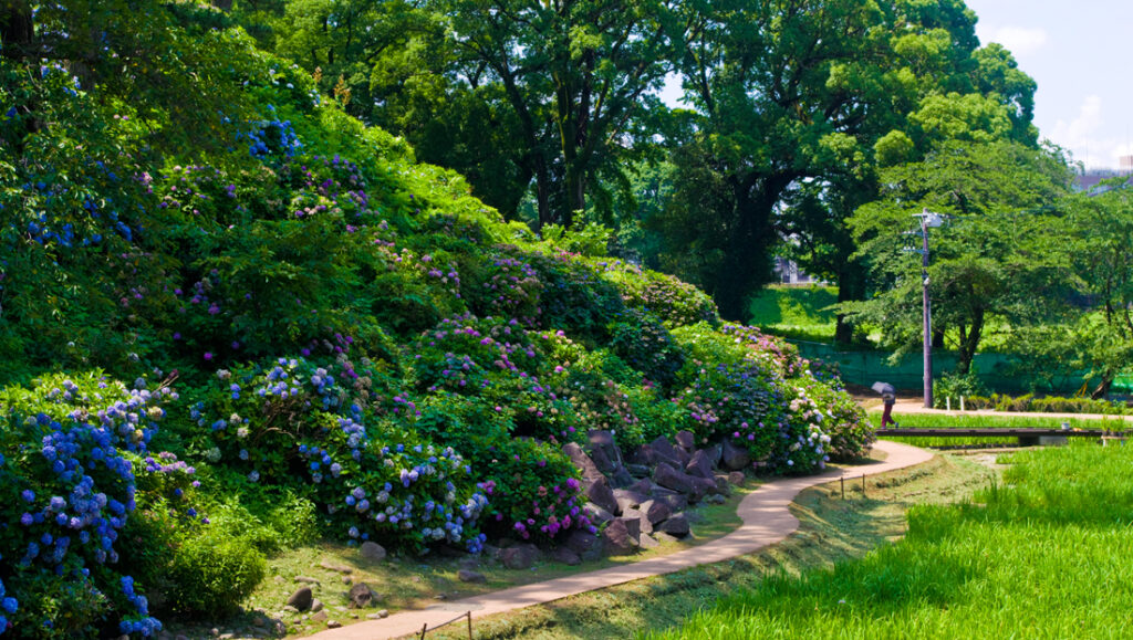 Les jardins du château