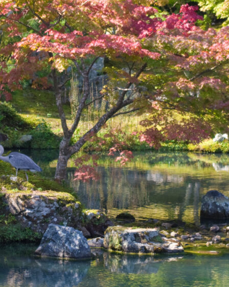 Arashiyama, Kyoto