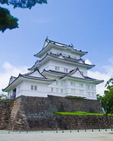 Photographie : L3tty - Château d'Odawara